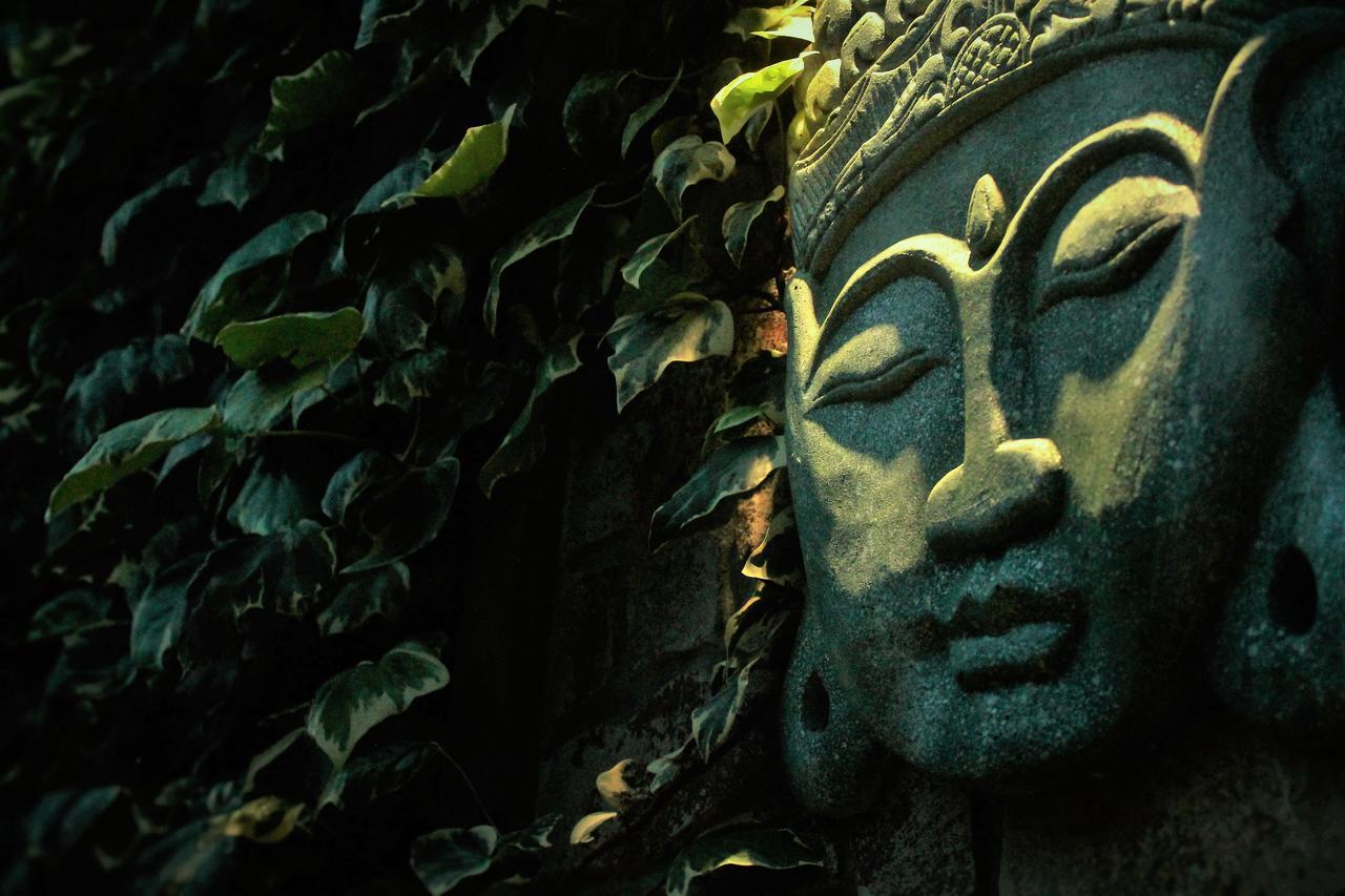 Aborigen Apartamentos Boutique 푸에르토마드린 외부 사진